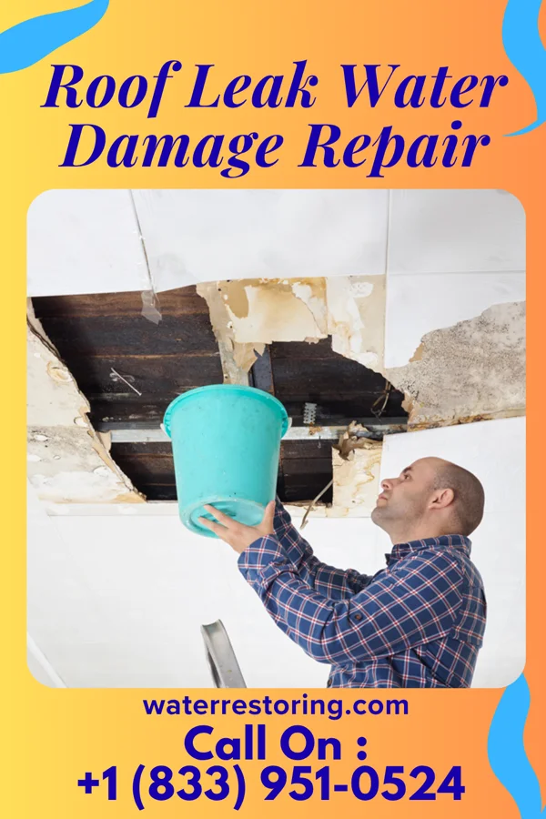 Roof Leak Water Damage Repair in Darlington, SC